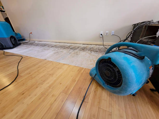 Professional Basement Flood Cleanup technician working in Valley View, TX